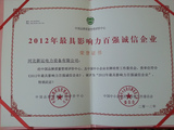 2012年最具影响力百强企业